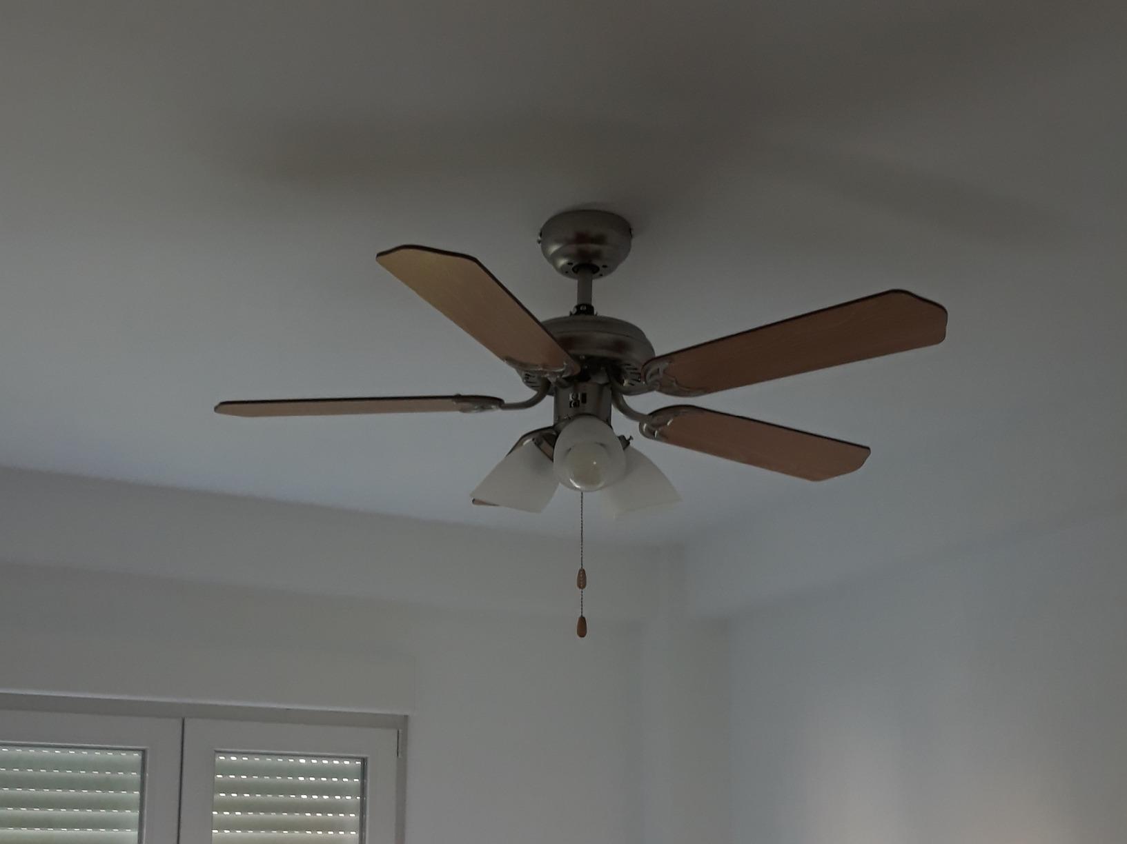 Great fan