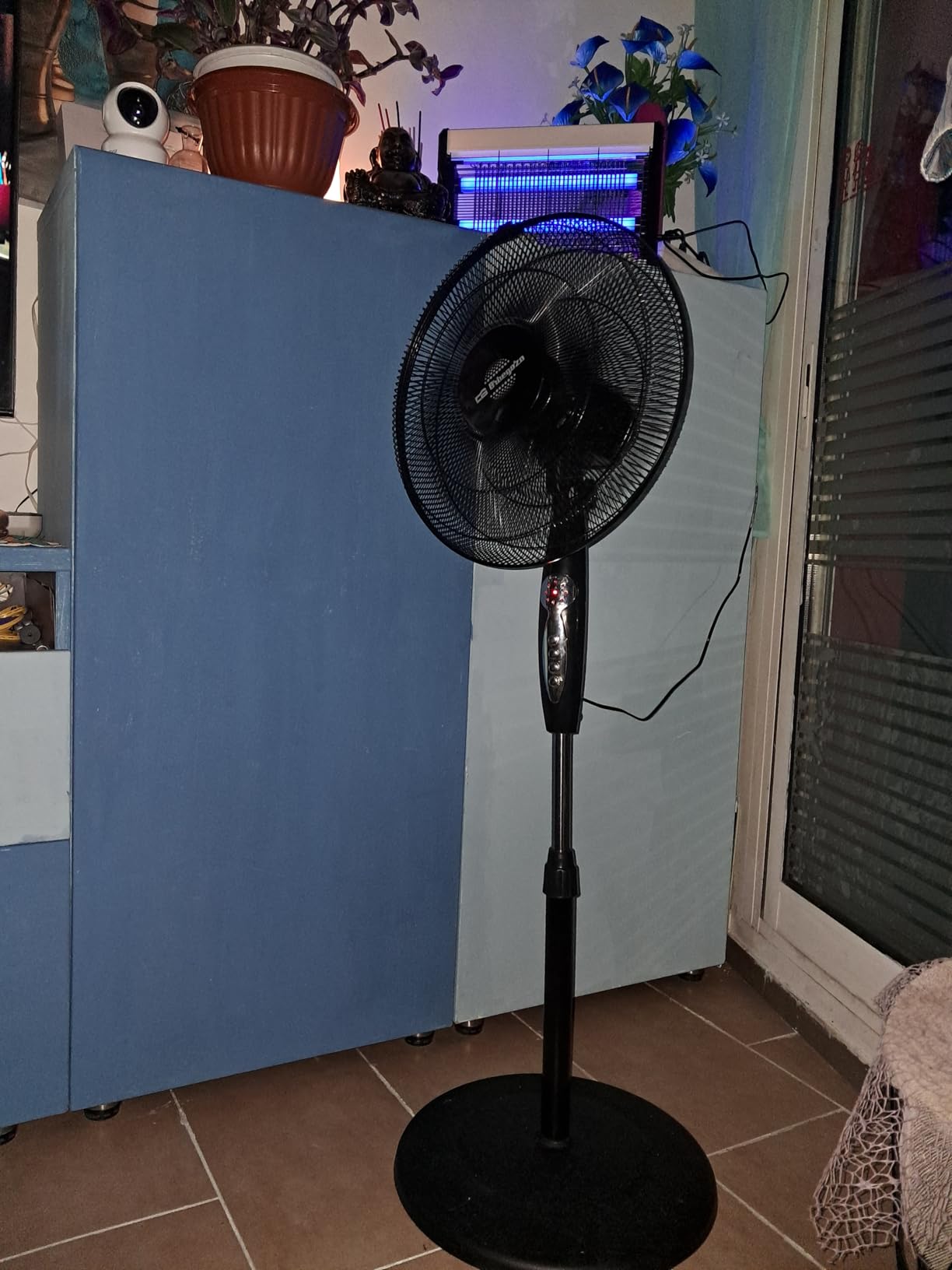 Lo mejor del verano