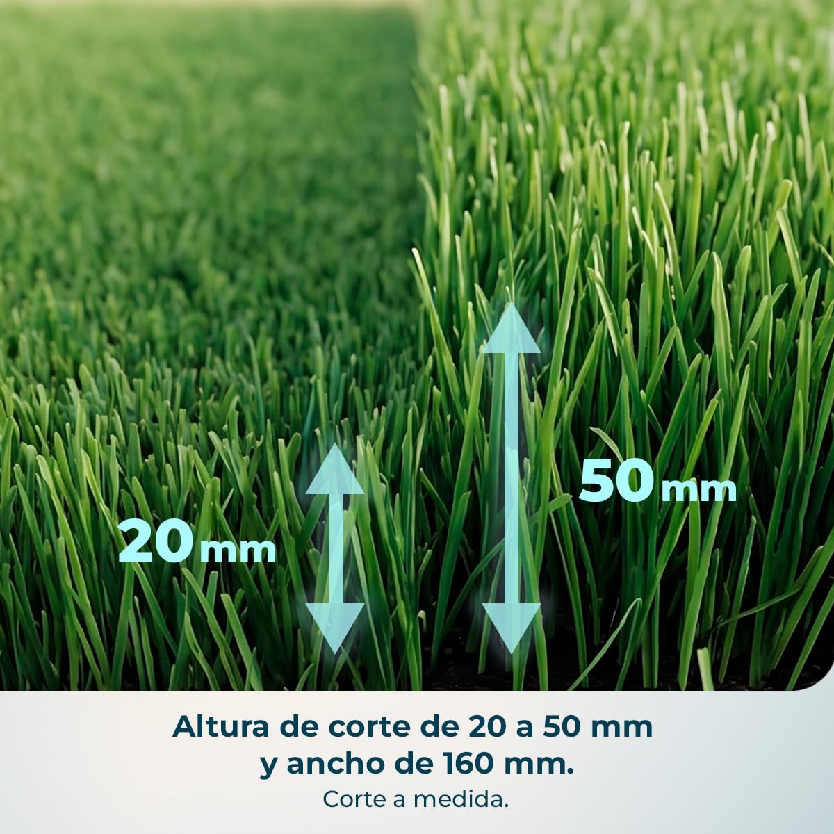 cecotec-robot-cortac-sped-conga-grasshopper-300-motor-digital-brushless-hasta-30 image 6