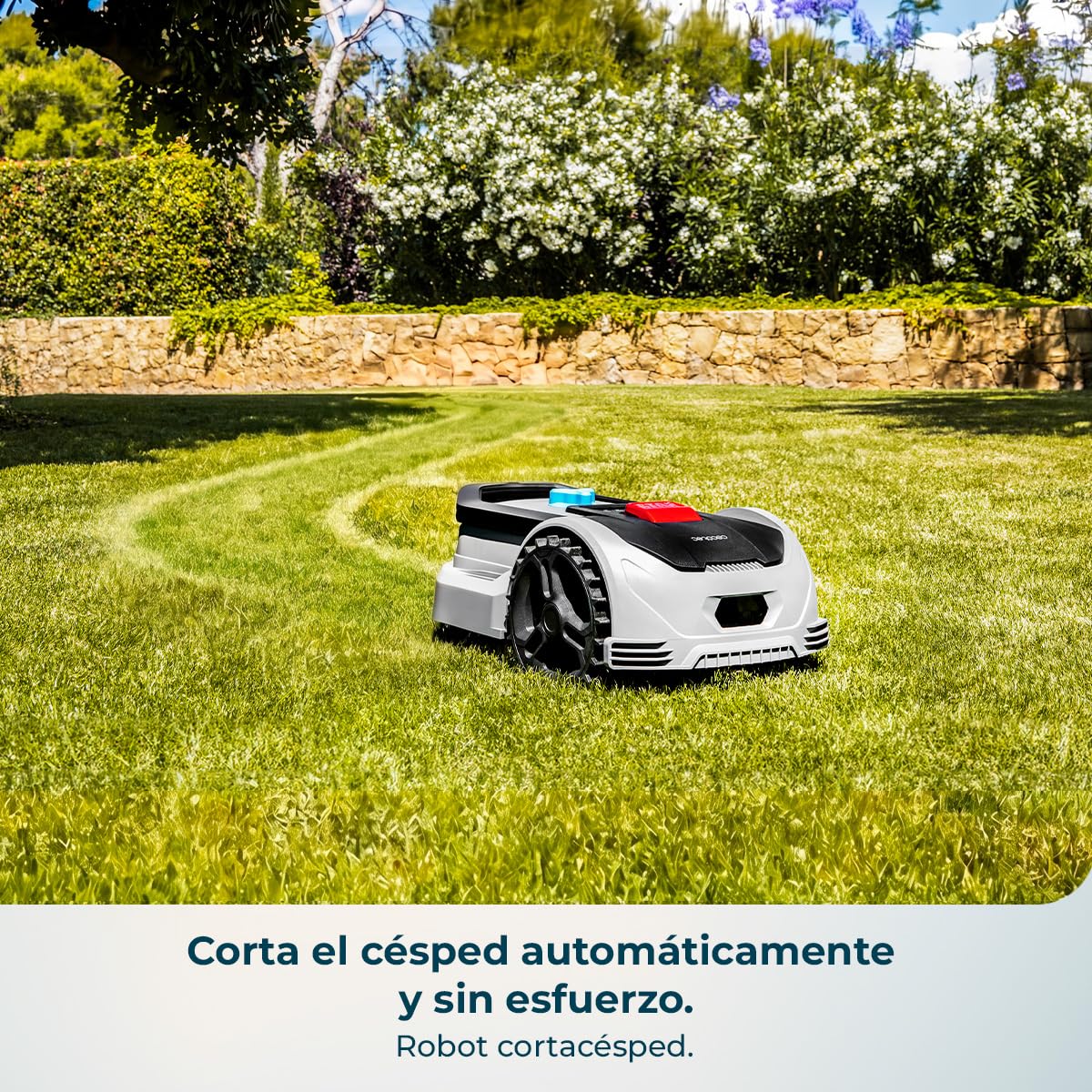 cecotec-robot-cortac-sped-conga-grasshopper-300-motor-digital-brushless-hasta-30 image 2