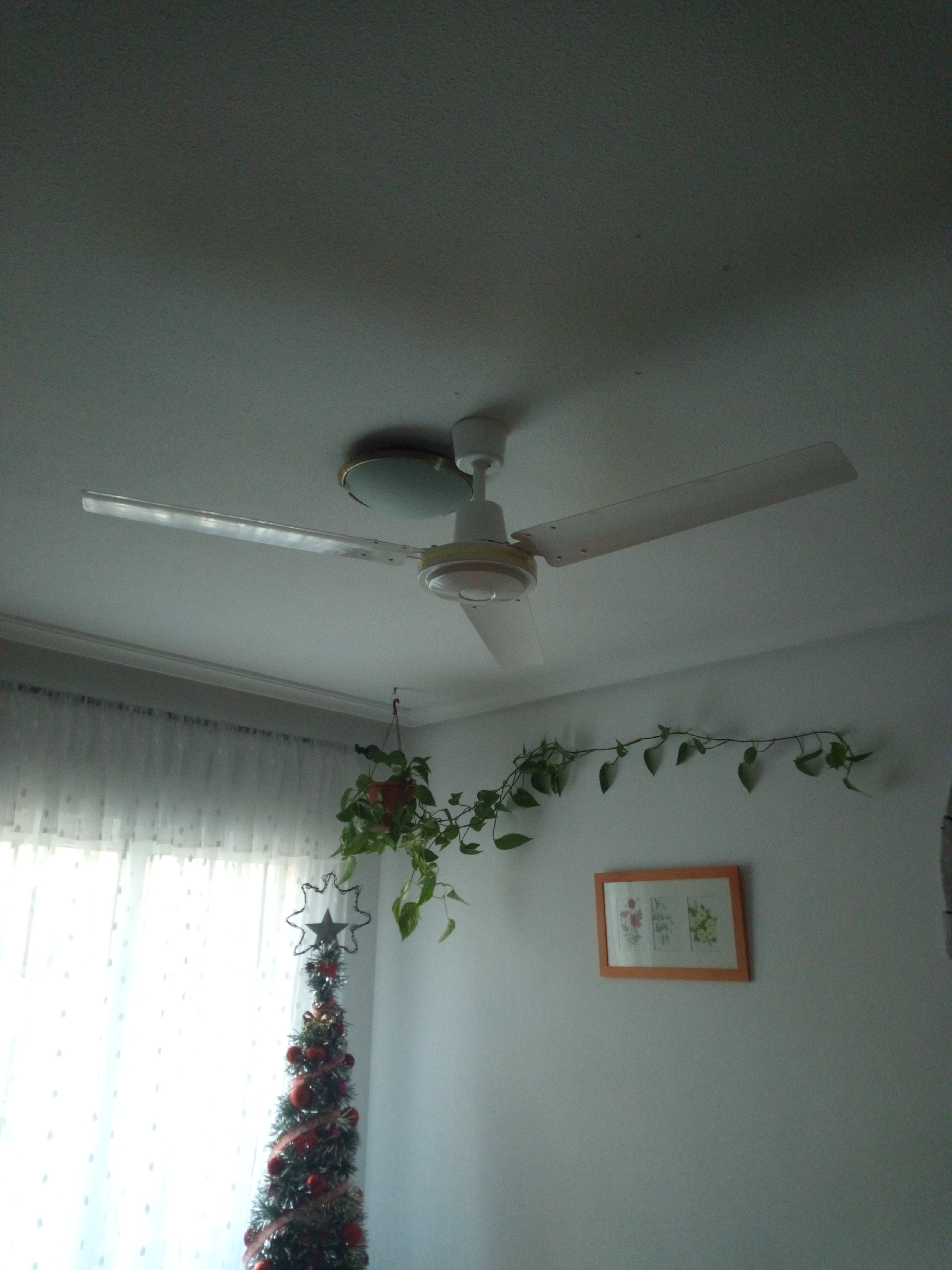 Muy satisfecho